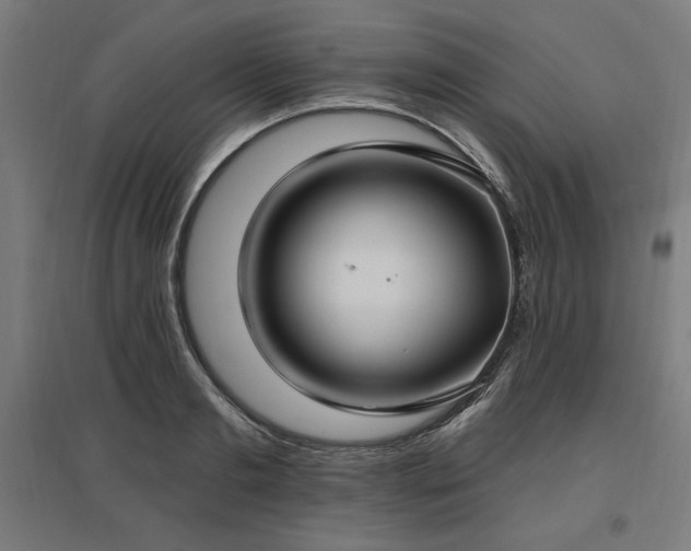 X0000096970893200802151306
