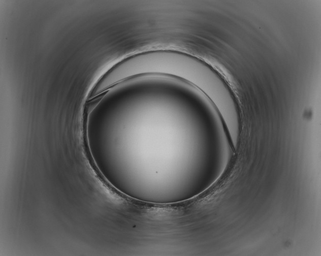 X0000096970894200802151306