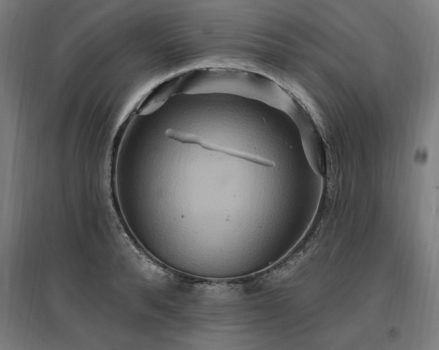 X0000096970896200802151306