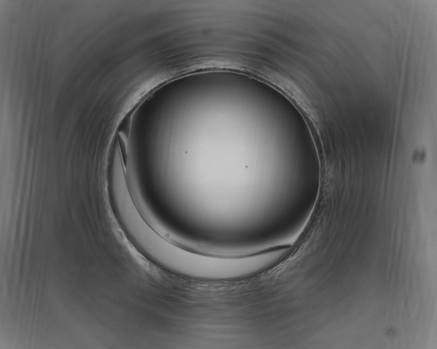 X0000096970898200802151306