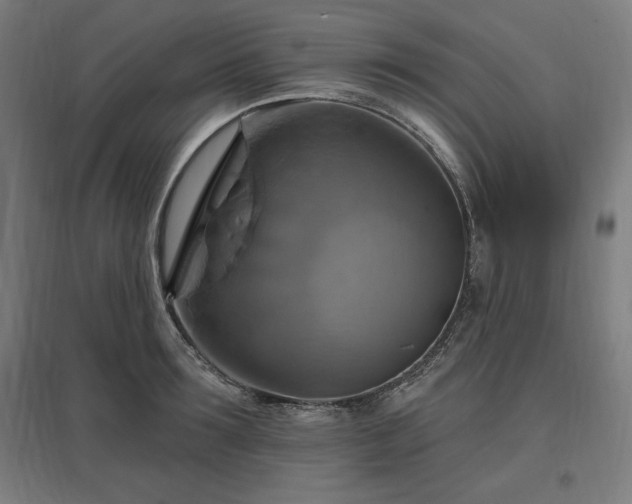 X0000096970899200802151306