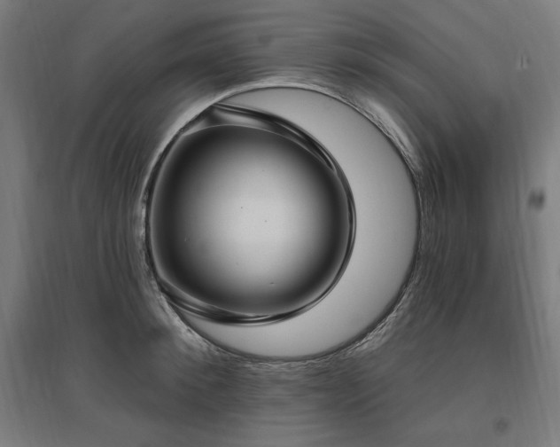 X0000096970900200802151306