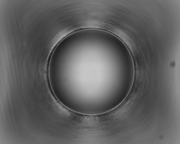 X0000096970901200802151306