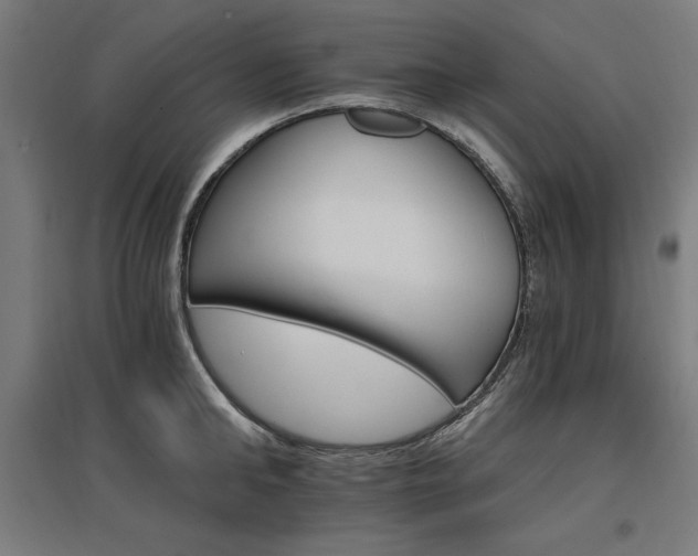 X0000096970902200802151306