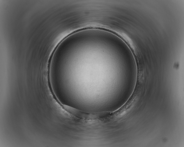 X0000096970903200802151306