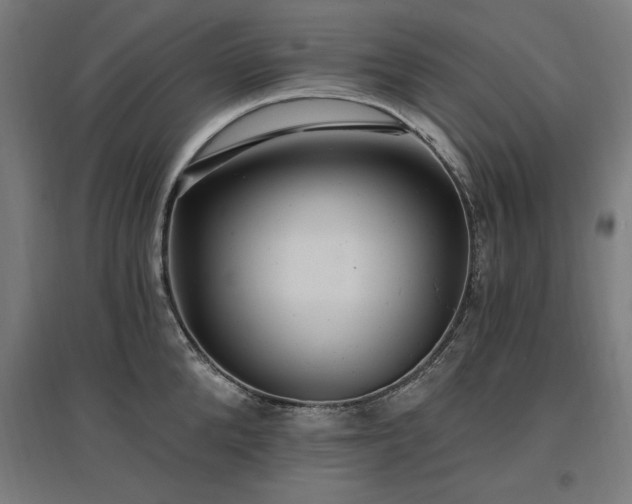X0000096970904200802151306