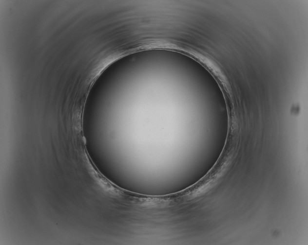 X0000096970905200802151306