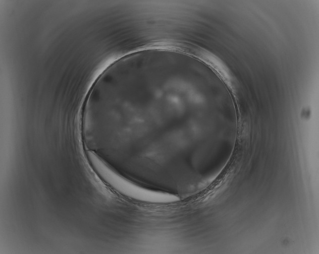 X0000096970907200802151306