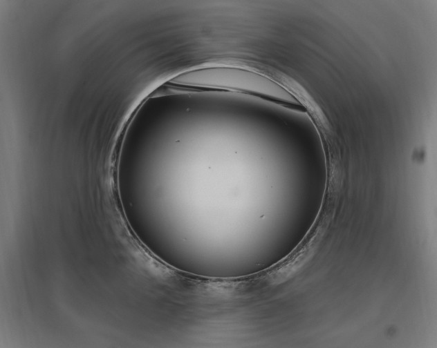 X0000096970908200802151306