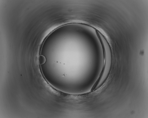 X0000096970910200802151306