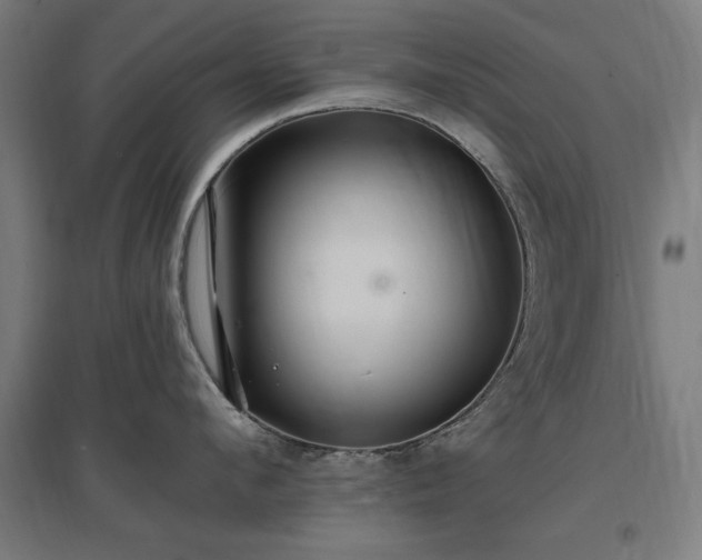 X0000096970912200802151306