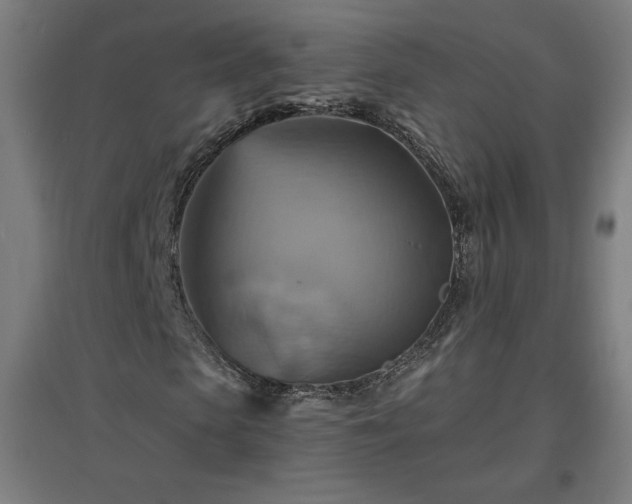 X0000096970913200802151305