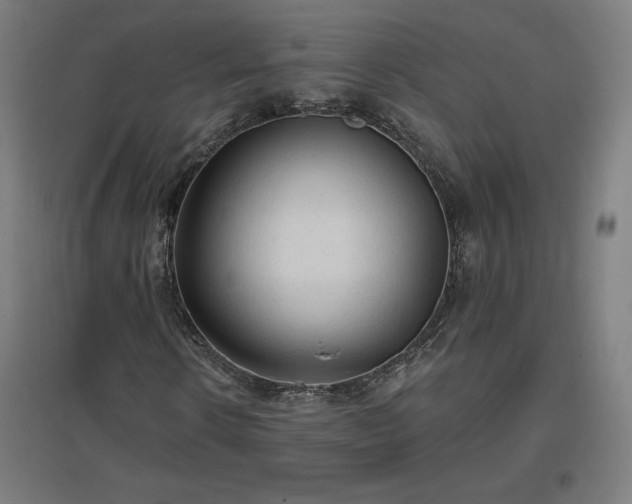 X0000096970914200802151305