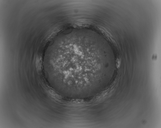 X0000096970915200802151305