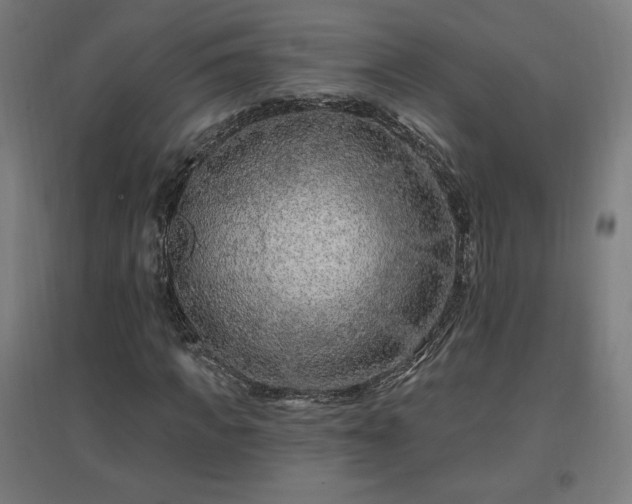 X0000096970917200802151305