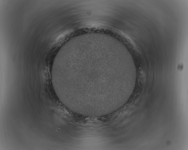 X0000096970918200802151305