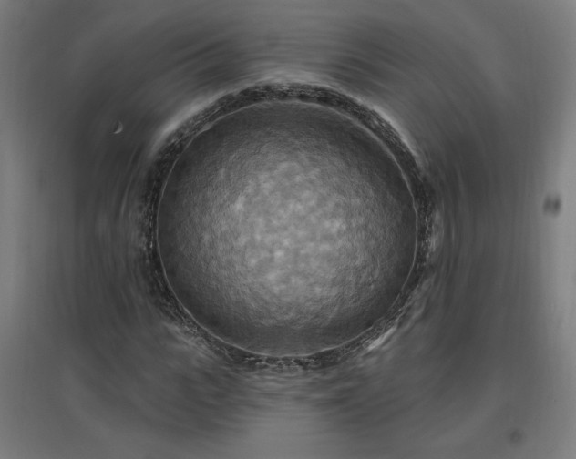 X0000096970919200802151305