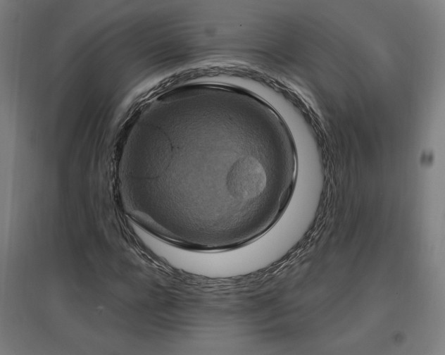 X0000096970920200802151305