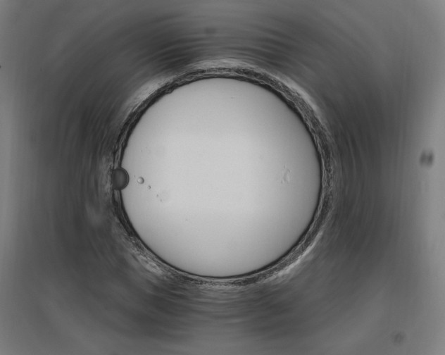 X0000096970921200802151305