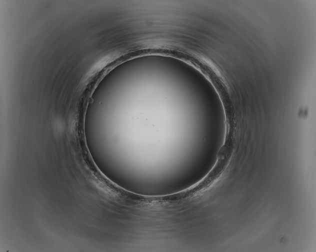 X0000096970922200802151305