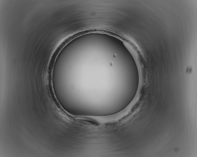 X0000096970924200802151305