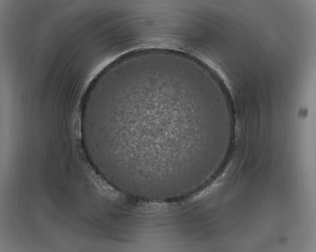 X0000096970925200802151305