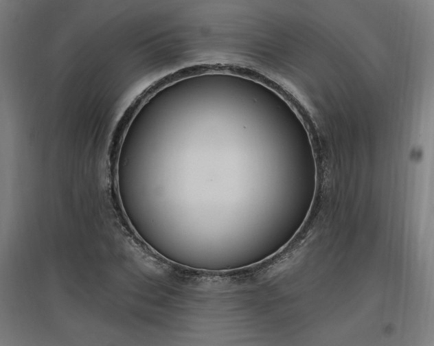 X0000096970927200802151305