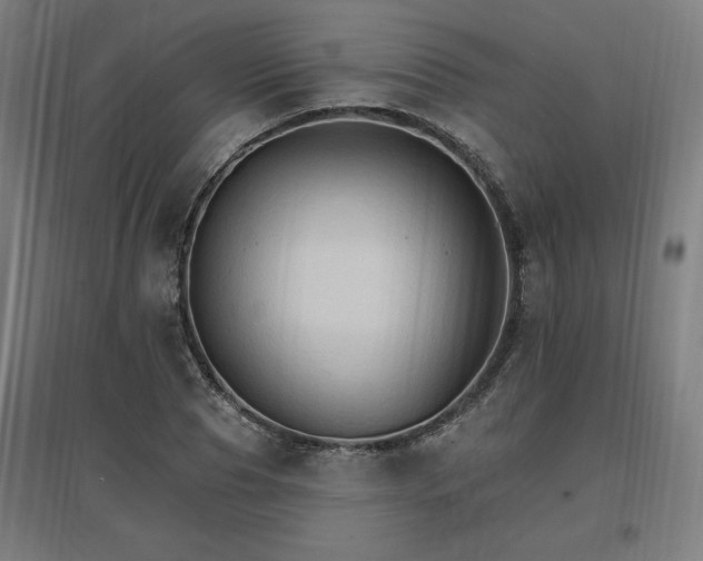 X0000096970929200802151305