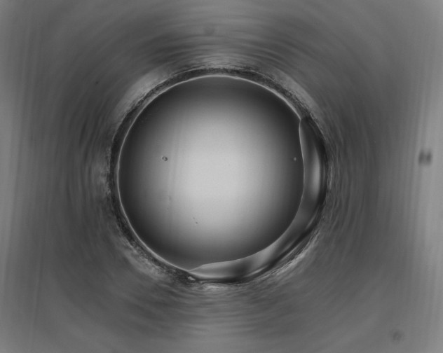 X0000096970930200802151305