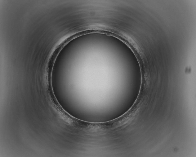 X0000096970931200802151305