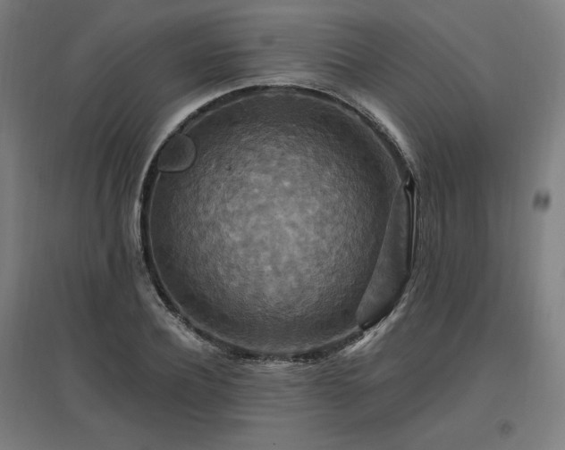 X0000096970932200802151305