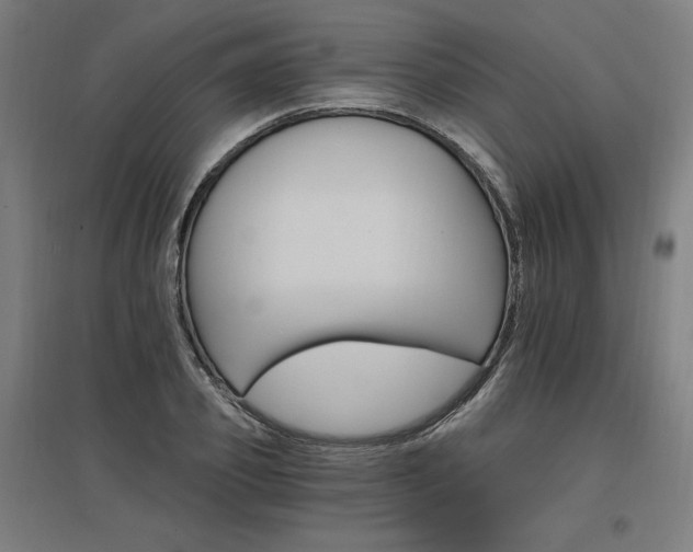 X0000096970933200802151305