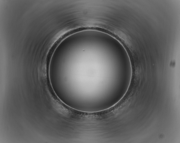 X0000096970934200802151305