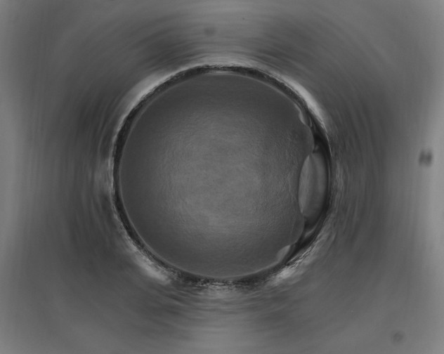 X0000096970935200802151305