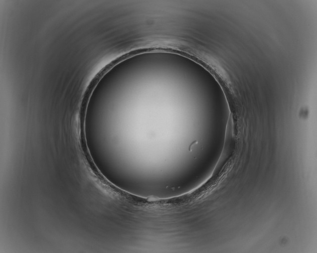X0000096970936200802151305