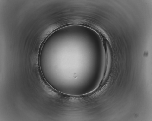X0000096970938200802151305