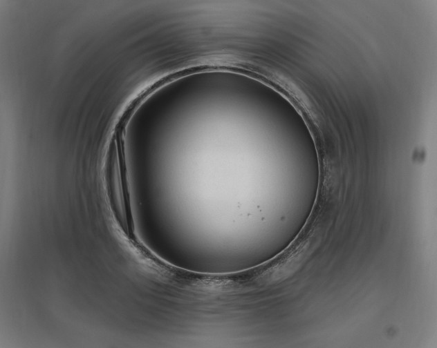 X0000096970939200802151305