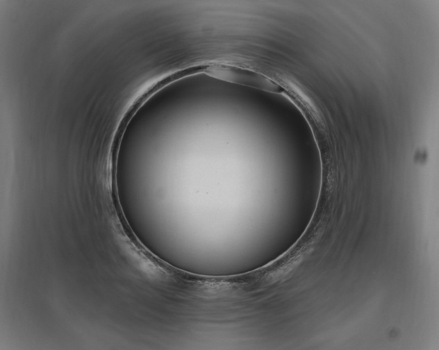 X0000096970940200802151305