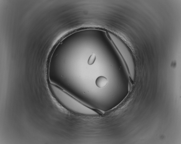 X0000096970942200802151305