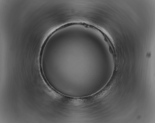 X0000096970943200802151305