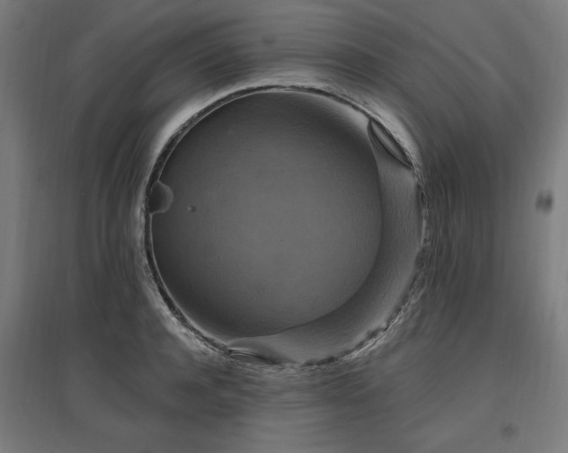 X0000096970944200802151305