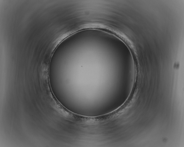 X0000096970945200802151305