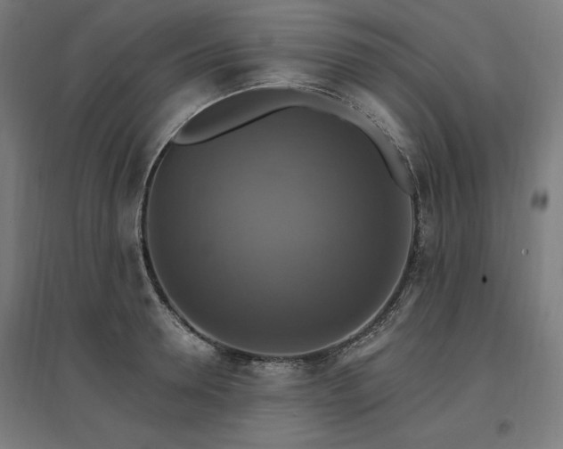 X0000096970946200802151305