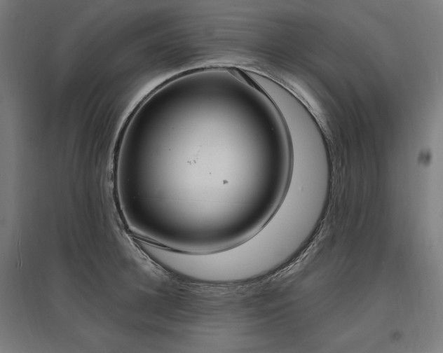 X0000096970948200802151305