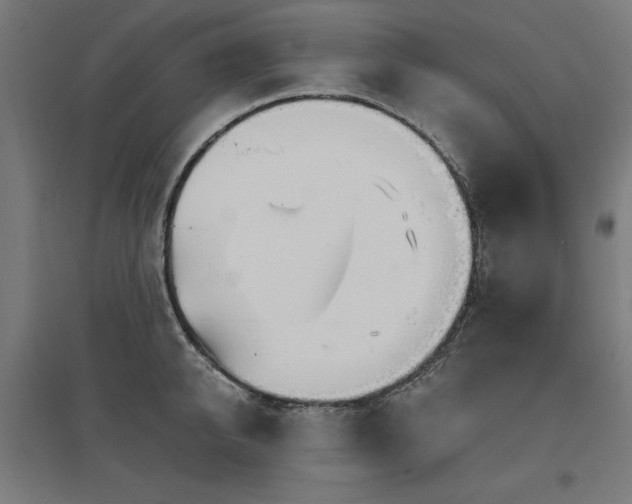 X0000096970950200802151305