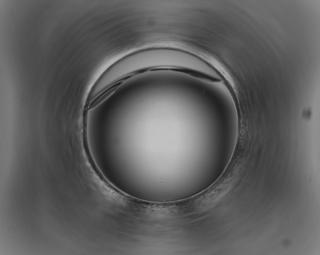 X0000096970951200802151306
