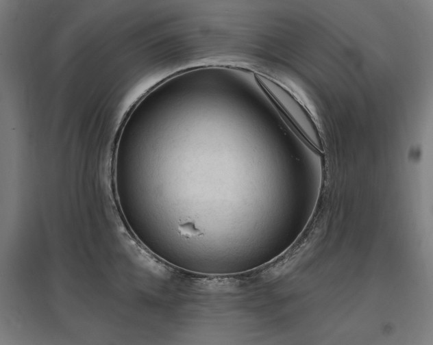 X0000096970952200802151306