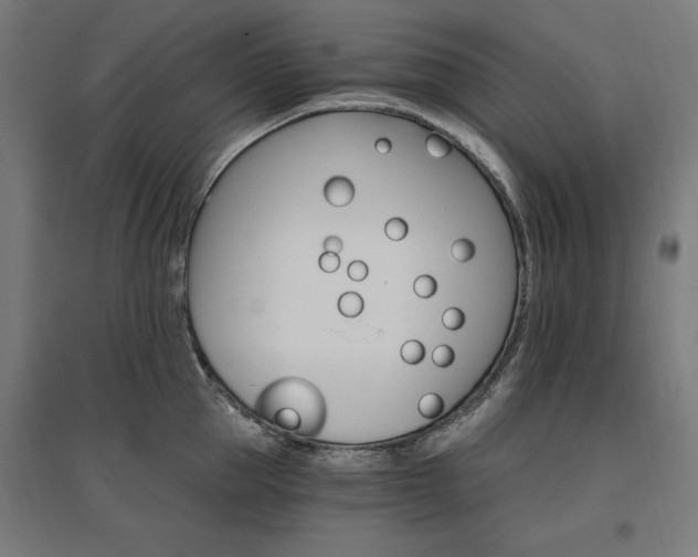 X0000096970953200802151306