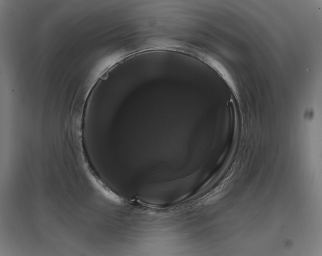 X0000096970954200802151306