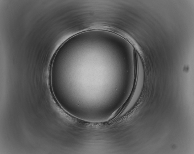 X0000096970955200802151306